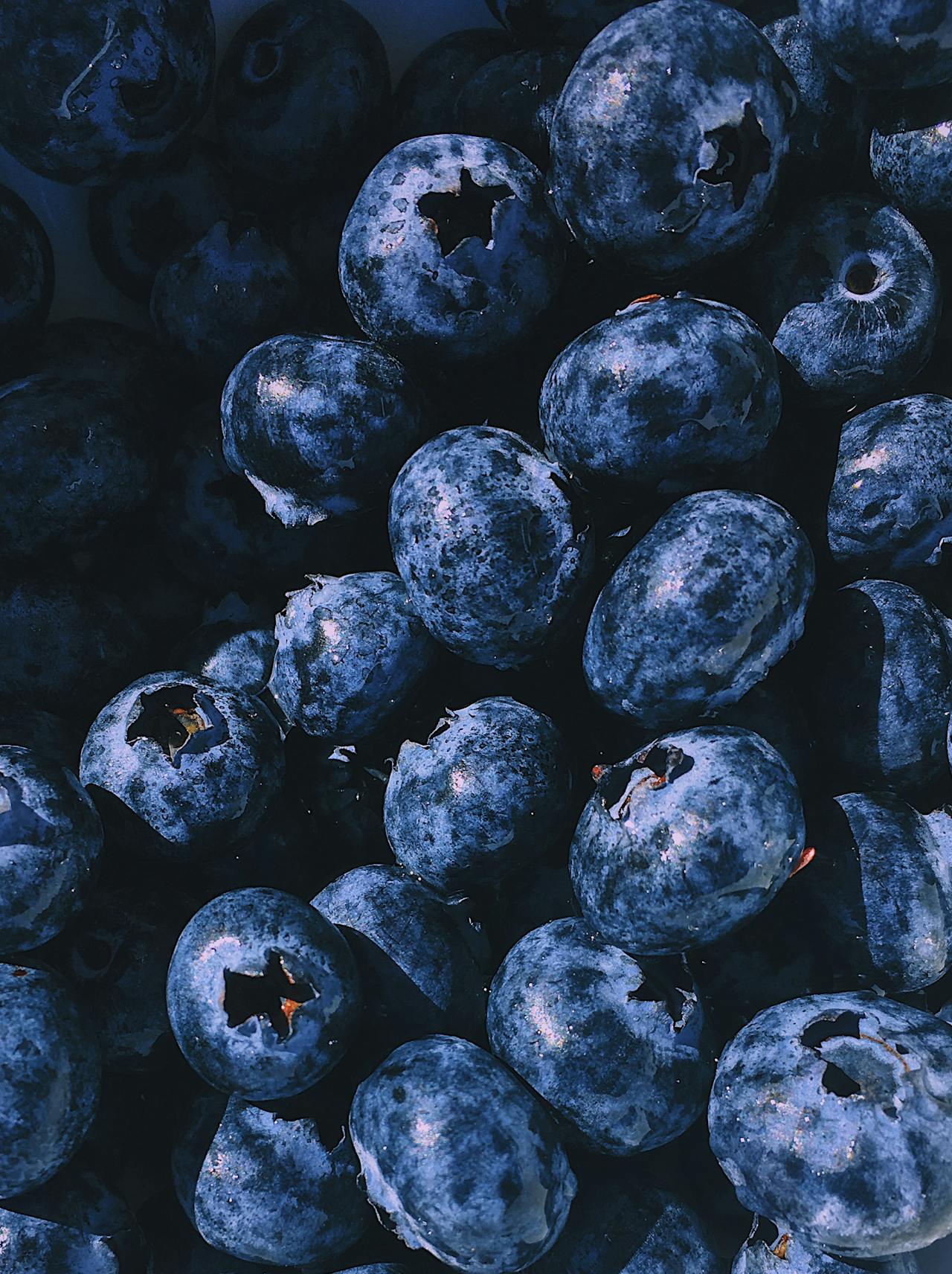 Tea Blueberry | Franchise