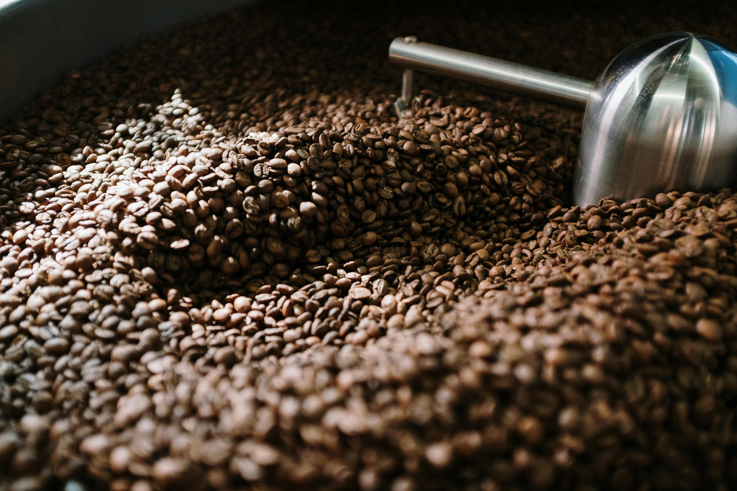 340g Kapi Chido Coffee | Colibri Hummingbird Medium Roast